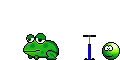 :frog: