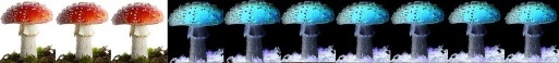 [pilz]3[/pilz]
