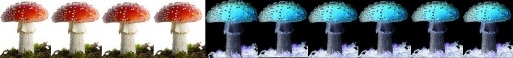 [pilz]4[/pilz]