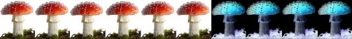 [pilz]6[/pilz]
