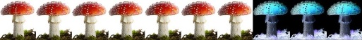 [pilz]7[/pilz]