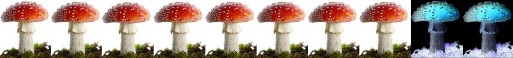 [pilz]8[/pilz]