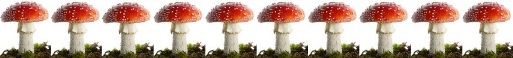 [pilz]10[/pilz]