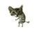 :135: