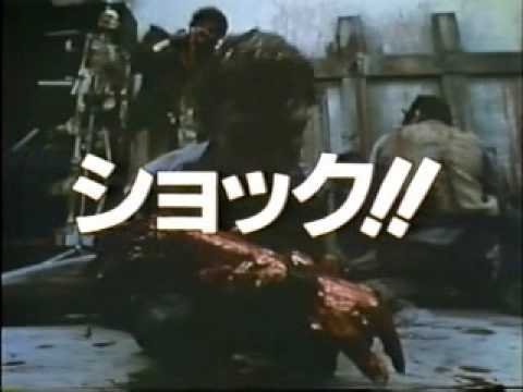 DAY OF THE DEAD Japanese Trailer - Import Laserdisc George A. Romero Tom Savini