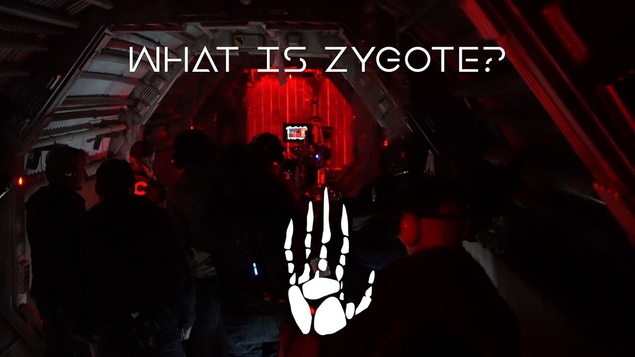 Oats Studios - What is Zygote?