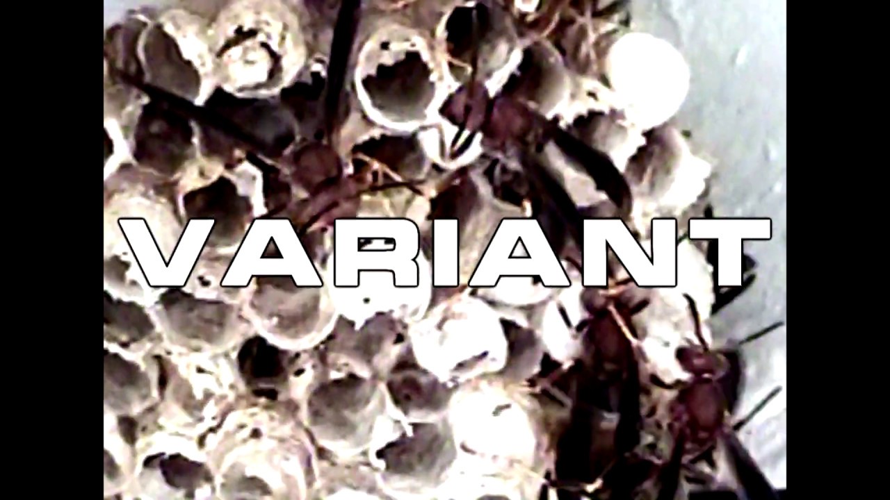 Variant - Teaser Trailer