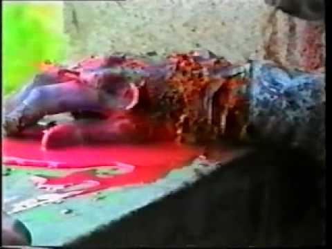 SS. SEGRETO SANGUE(ITALIAN ZOMBIE MOVIE 1992)[NO BUDGET BUT KILLER!].mkv