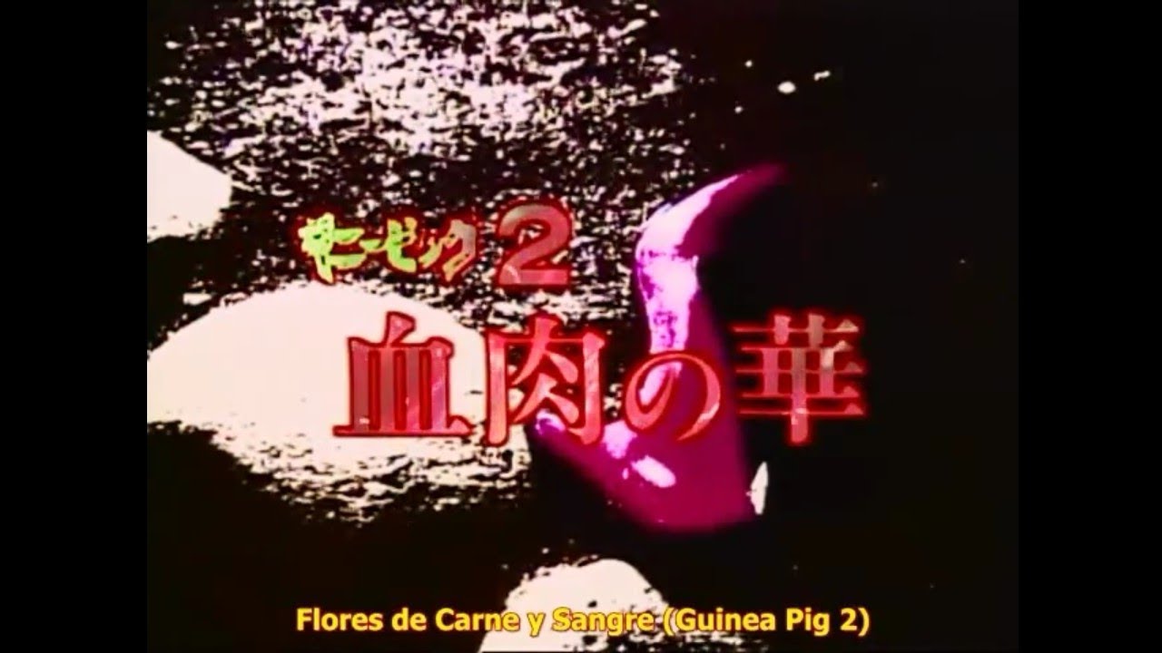 Guinea Pig 2: Flower of flesh and blood (1985) | Sub. español | Película completa en HD |Sinopsis ⬇